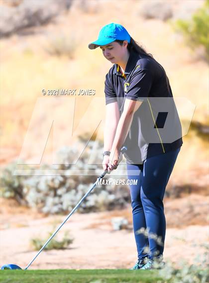 Thumbnail 3 in AIA D2 Golf State Championship photogallery.