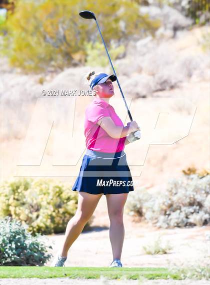 Thumbnail 1 in AIA D2 Golf State Championship photogallery.