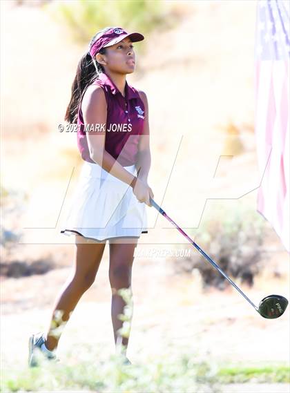 Thumbnail 3 in AIA D2 Golf State Championship photogallery.