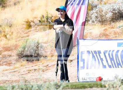 Thumbnail 2 in AIA D2 Golf State Championship photogallery.