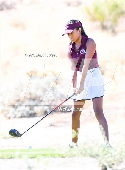 Thumbnail 1 in AIA D2 Golf State Championship photogallery.