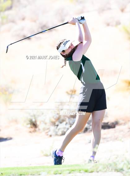 Thumbnail 2 in AIA D2 Golf State Championship photogallery.
