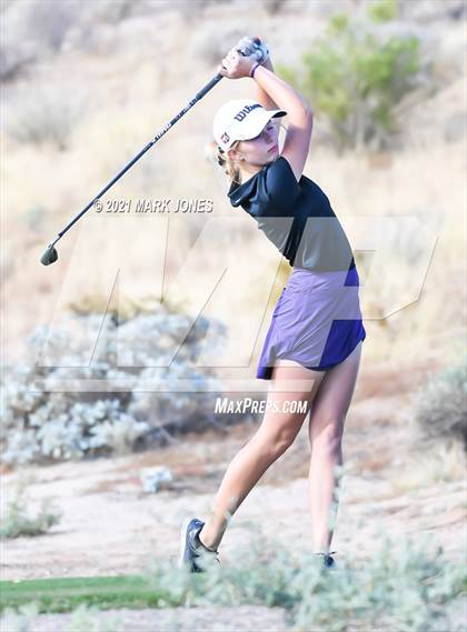 Thumbnail 2 in AIA D2 Golf State Championship photogallery.