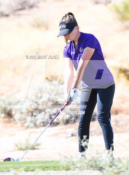Thumbnail 1 in AIA D2 Golf State Championship photogallery.