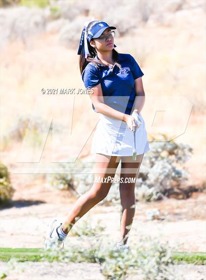 Thumbnail 1 in AIA D2 Golf State Championship photogallery.