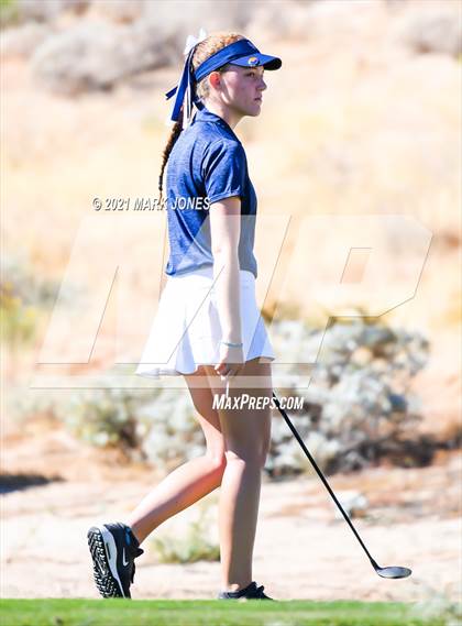 Thumbnail 1 in AIA D2 Golf State Championship photogallery.