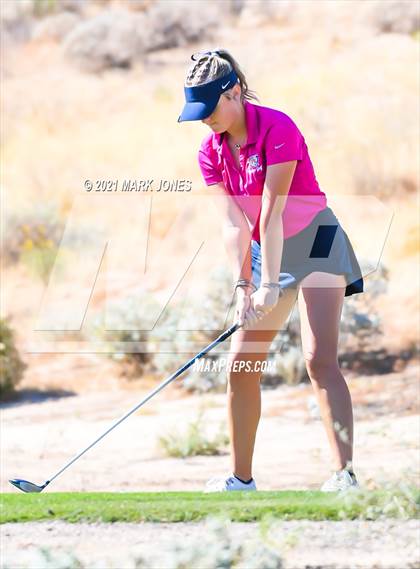 Thumbnail 1 in AIA D2 Golf State Championship photogallery.