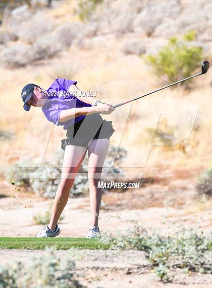 Thumbnail 1 in AIA D2 Golf State Championship photogallery.