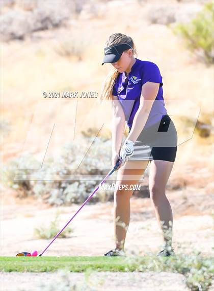 Thumbnail 1 in AIA D2 Golf State Championship photogallery.