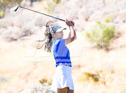 Thumbnail 1 in AIA D2 Golf State Championship photogallery.