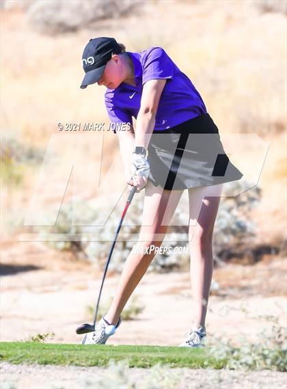 Thumbnail 3 in AIA D2 Golf State Championship photogallery.