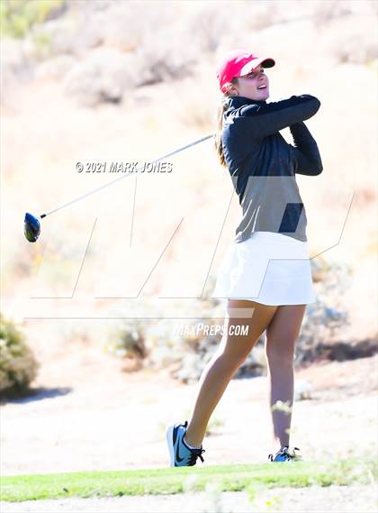 Thumbnail 2 in AIA D2 Golf State Championship photogallery.