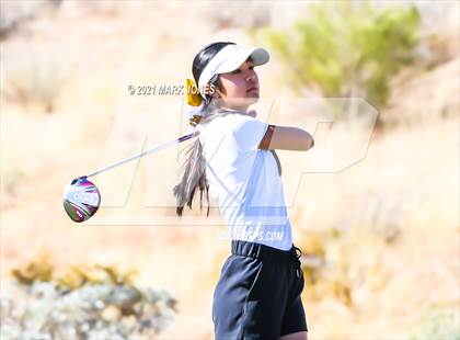 Thumbnail 2 in AIA D2 Golf State Championship photogallery.