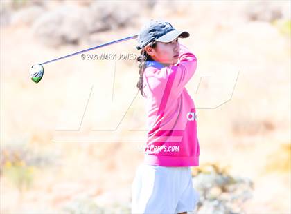 Thumbnail 1 in AIA D2 Golf State Championship photogallery.
