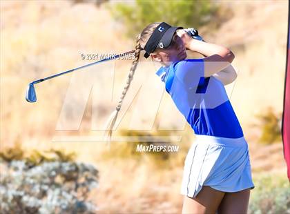 Thumbnail 1 in AIA D2 Golf State Championship photogallery.