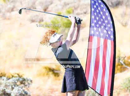 Thumbnail 1 in AIA D2 Golf State Championship photogallery.