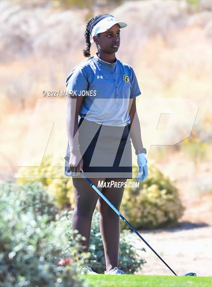 Thumbnail 1 in AIA D2 Golf State Championship photogallery.