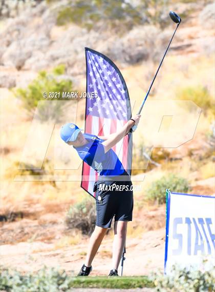 Thumbnail 3 in AIA D2 Golf State Championship photogallery.