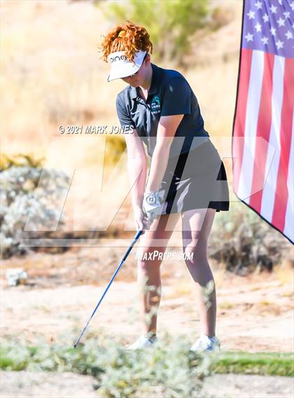 Thumbnail 2 in AIA D2 Golf State Championship photogallery.