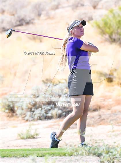 Thumbnail 1 in AIA D2 Golf State Championship photogallery.