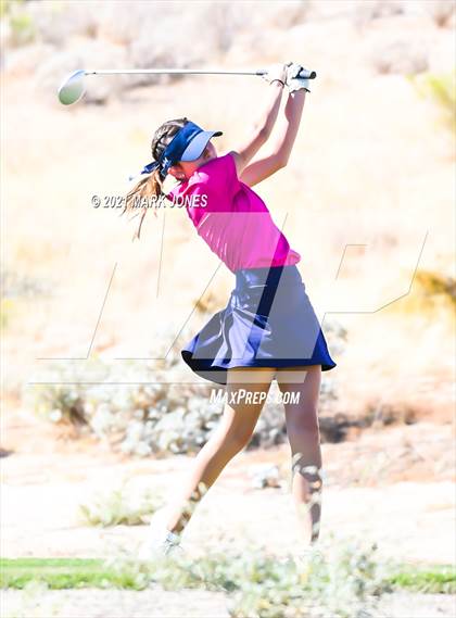 Thumbnail 2 in AIA D2 Golf State Championship photogallery.