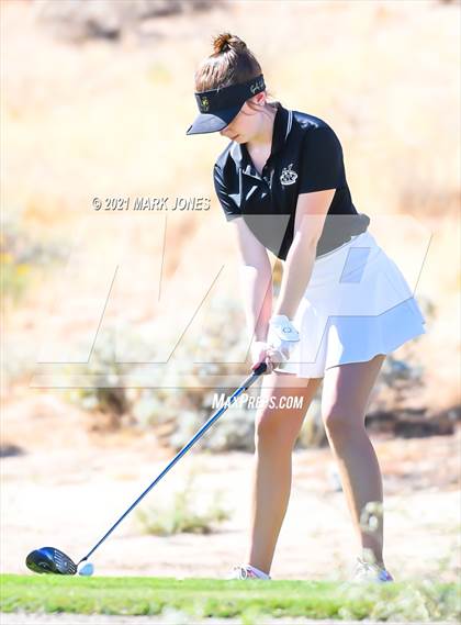 Thumbnail 1 in AIA D2 Golf State Championship photogallery.