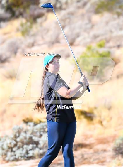 Thumbnail 2 in AIA D2 Golf State Championship photogallery.