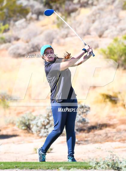 Thumbnail 3 in AIA D2 Golf State Championship photogallery.