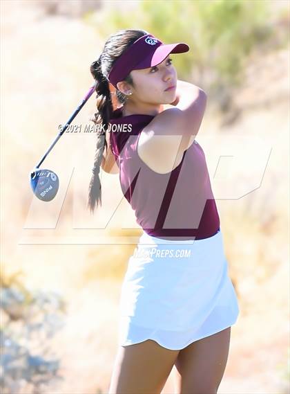 Thumbnail 1 in AIA D2 Golf State Championship photogallery.