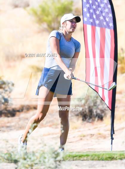 Thumbnail 1 in AIA D2 Golf State Championship photogallery.