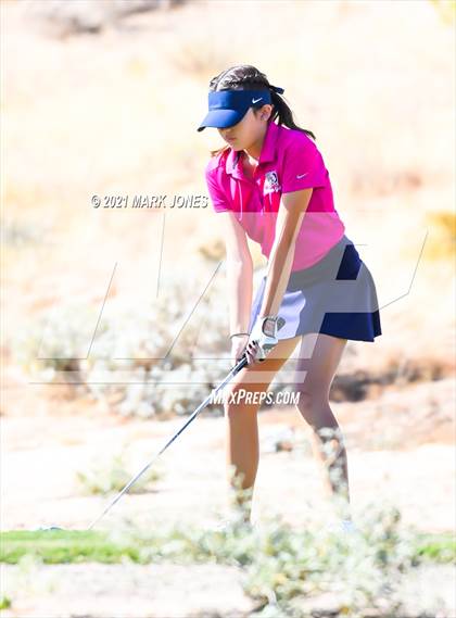 Thumbnail 1 in AIA D2 Golf State Championship photogallery.