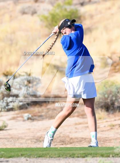 Thumbnail 2 in AIA D2 Golf State Championship photogallery.