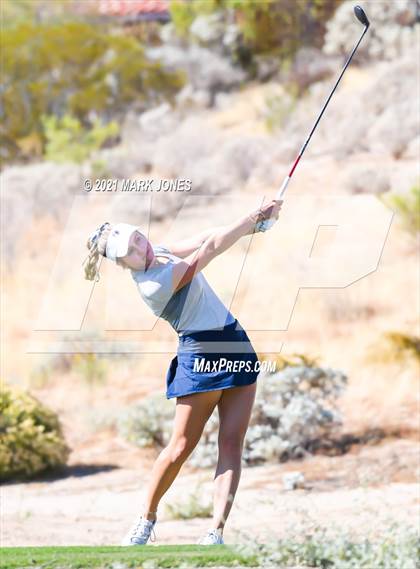 Thumbnail 1 in AIA D2 Golf State Championship photogallery.