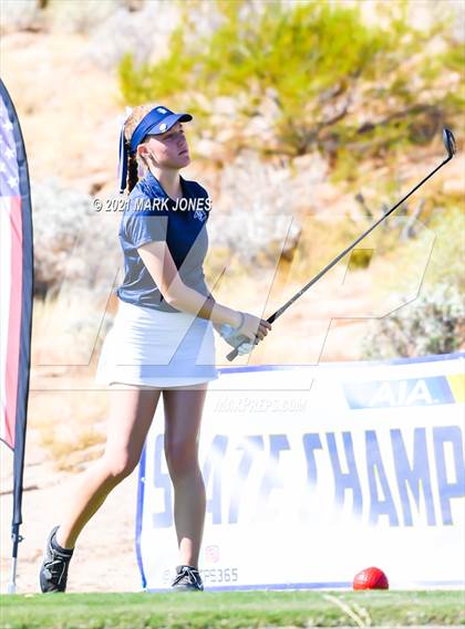 Thumbnail 1 in AIA D2 Golf State Championship photogallery.
