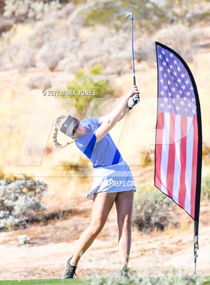 Thumbnail 1 in AIA D2 Golf State Championship photogallery.