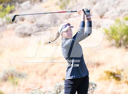 Thumbnail 1 in AIA D2 Golf State Championship photogallery.