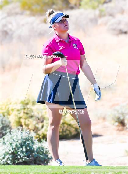 Thumbnail 1 in AIA D2 Golf State Championship photogallery.