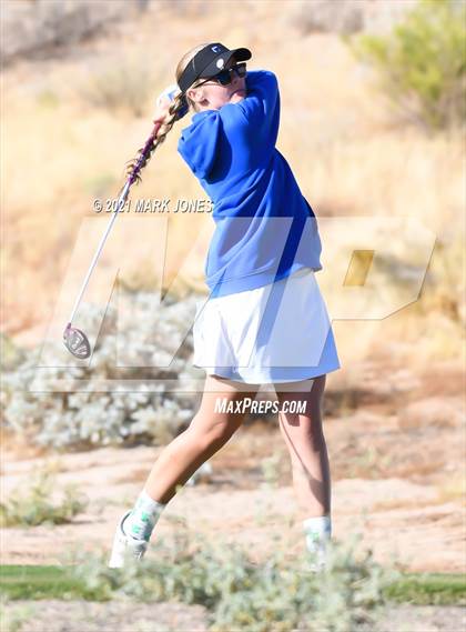 Thumbnail 3 in AIA D2 Golf State Championship photogallery.