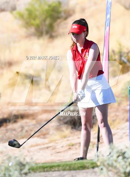Thumbnail 1 in AIA D2 Golf State Championship photogallery.