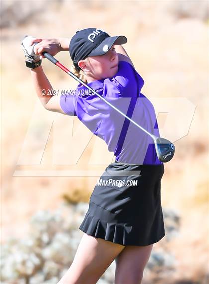 Thumbnail 3 in AIA D2 Golf State Championship photogallery.