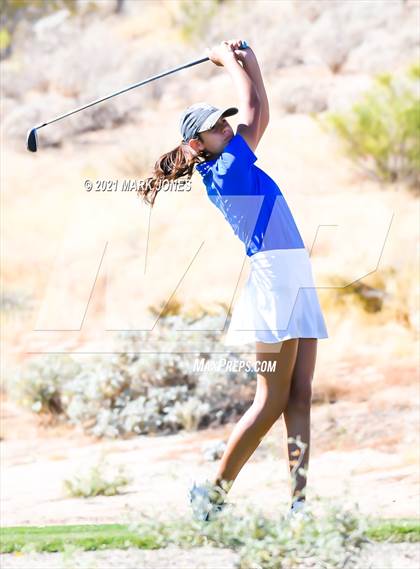 Thumbnail 1 in AIA D2 Golf State Championship photogallery.