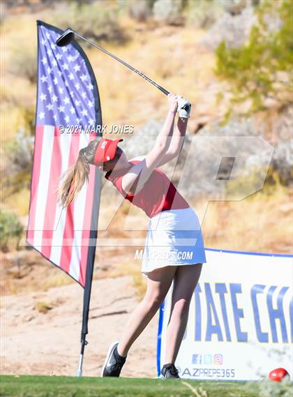 Thumbnail 1 in AIA D2 Golf State Championship photogallery.
