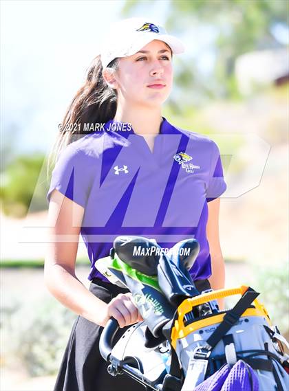 Thumbnail 3 in AIA D2 Golf State Championship photogallery.