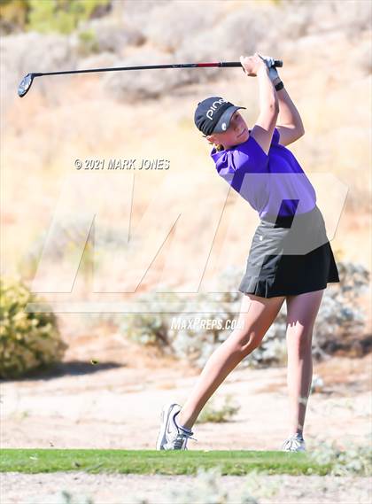 Thumbnail 1 in AIA D2 Golf State Championship photogallery.