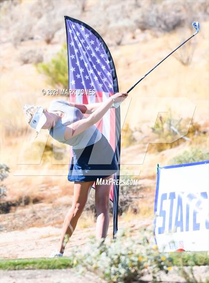 Thumbnail 2 in AIA D2 Golf State Championship photogallery.