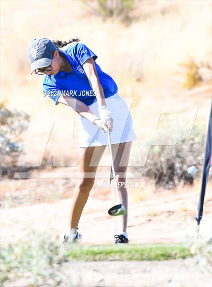 Thumbnail 2 in AIA D2 Golf State Championship photogallery.