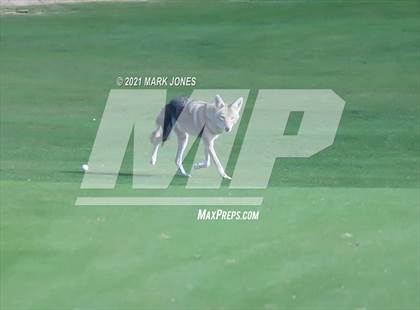 Thumbnail 1 in AIA D2 Golf State Championship photogallery.