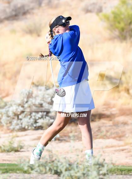 Thumbnail 1 in AIA D2 Golf State Championship photogallery.