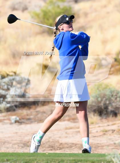 Thumbnail 3 in AIA D2 Golf State Championship photogallery.