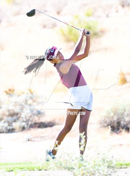 Thumbnail 1 in AIA D2 Golf State Championship photogallery.